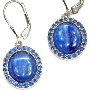 Himalayan Kyanite & Tanzanite Medley Earrings